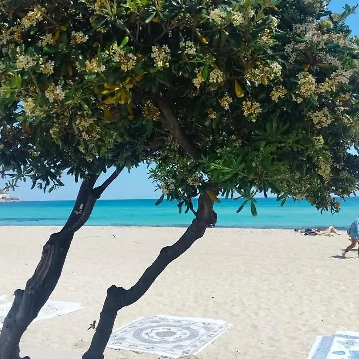 Mondello Juno'S Rooms Palermo